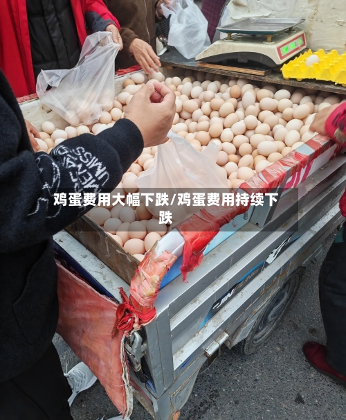 鸡蛋费用大幅下跌/鸡蛋费用持续下跌