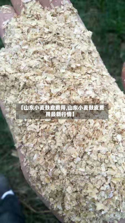 【山东小麦麸皮费用,山东小麦麸皮费用最新行情】-第3张图片