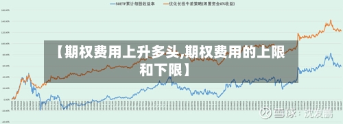 【期权费用上升多头,期权费用的上限和下限】