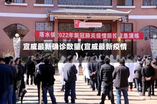 宣威最新确诊数量(宣威最新疫情)-第3张图片