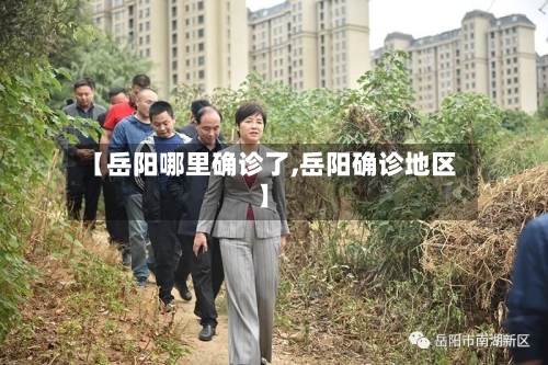【岳阳哪里确诊了,岳阳确诊地区】-第2张图片