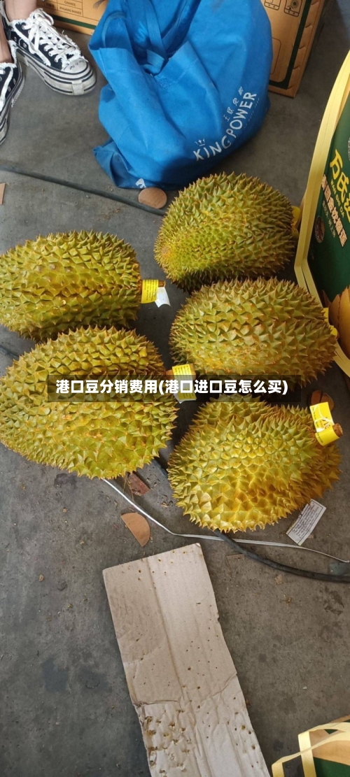 港口豆分销费用(港口进口豆怎么买)-第2张图片
