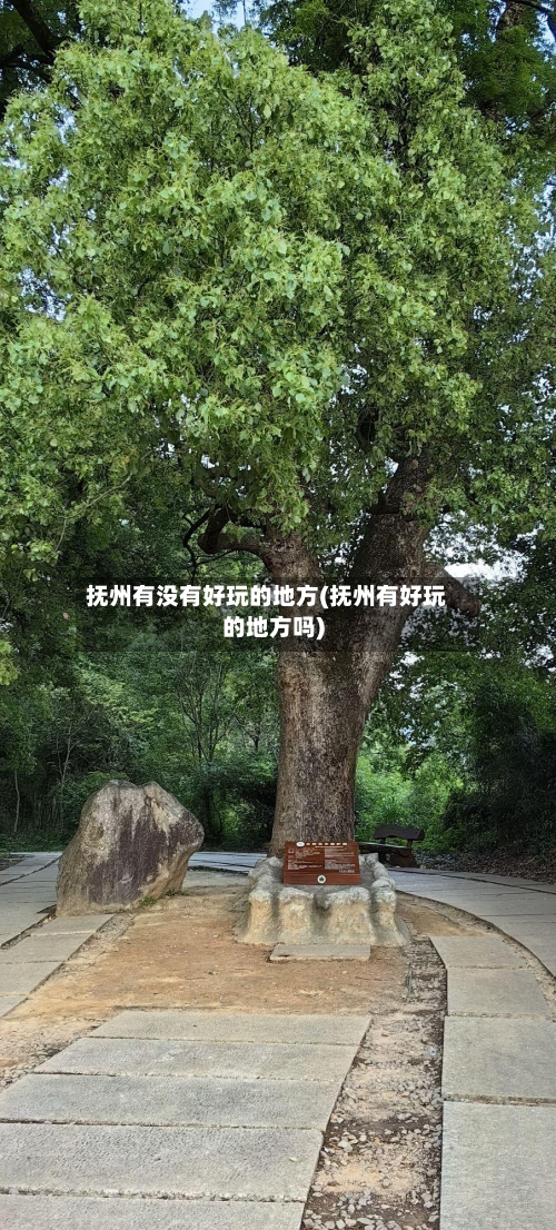 抚州有没有好玩的地方(抚州有好玩的地方吗)