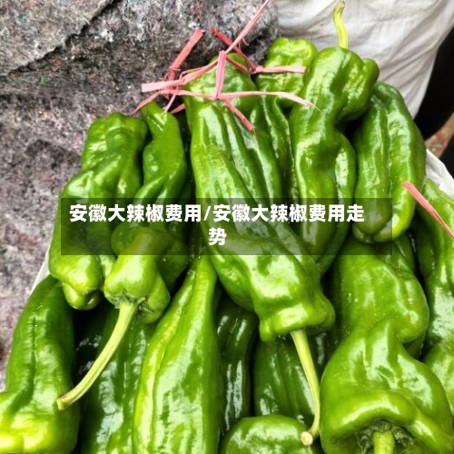 安徽大辣椒费用/安徽大辣椒费用走势-第2张图片