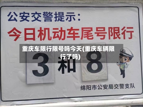 重庆车限行限号吗今天(重庆车辆限行了吗)-第3张图片