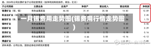 一月锡费用走势图(锡费用行情走势图)