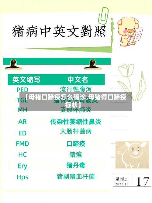 【母猪口蹄疫怎么确诊,母猪得口蹄疫症状】-第2张图片