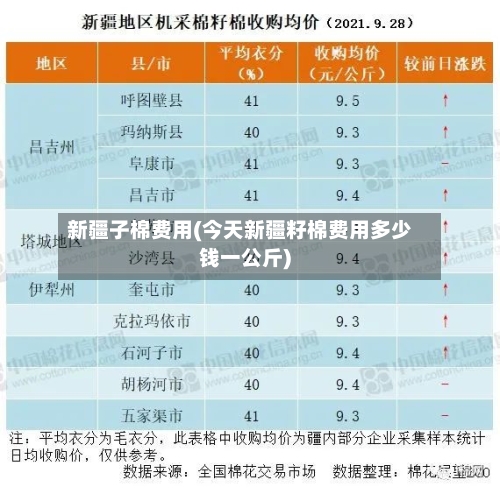 新疆子棉费用(今天新疆籽棉费用多少钱一公斤)-第3张图片