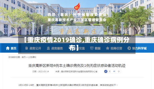 【重庆疫情2019确诊,重庆确诊病例分布】-第3张图片