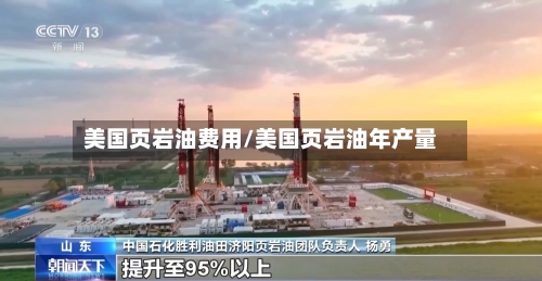 美国页岩油费用/美国页岩油年产量-第3张图片