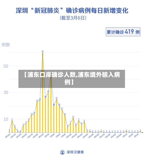 【浦东口岸确诊人数,浦东境外输入病例】-第2张图片