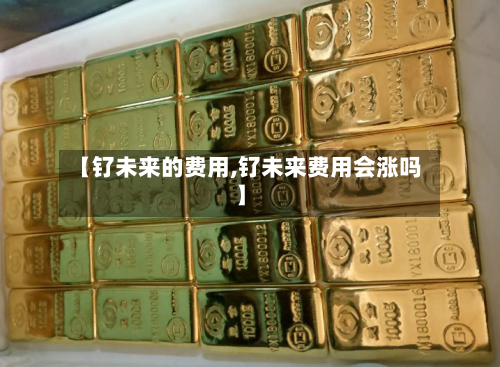 【钌未来的费用,钌未来费用会涨吗】-第3张图片