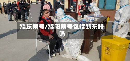 濮东限号/濮阳限号包括新东路吗-第2张图片