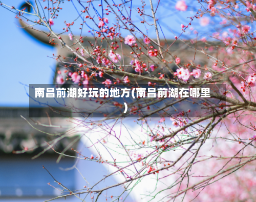 南昌前湖好玩的地方(南昌前湖在哪里)