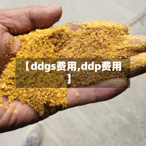 【ddgs费用,ddp费用】-第3张图片