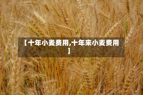 【十年小麦费用,十年来小麦费用】