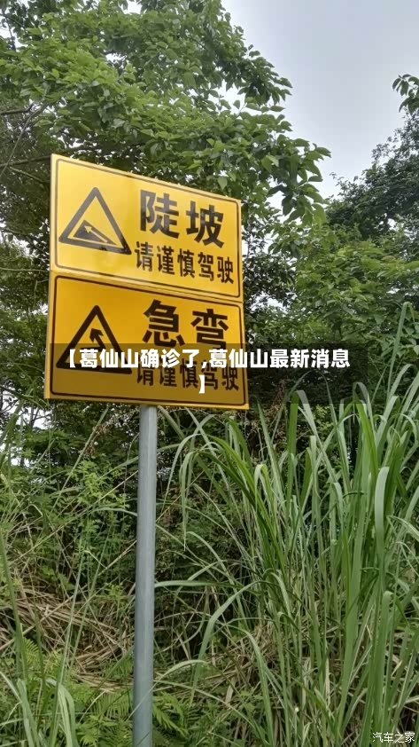 【葛仙山确诊了,葛仙山最新消息】