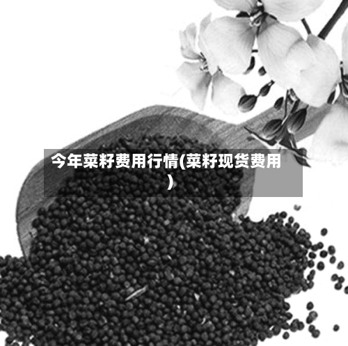 今年菜籽费用行情(菜籽现货费用)