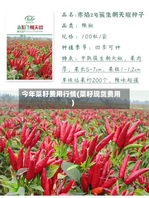 今年菜籽费用行情(菜籽现货费用)-第2张图片