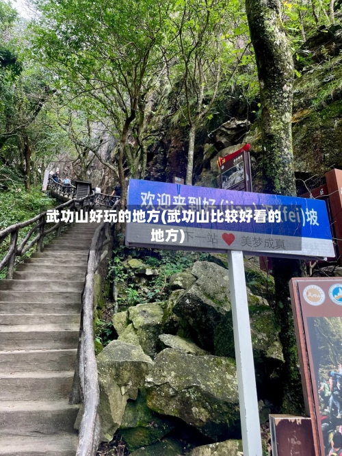武功山好玩的地方(武功山比较好看的地方)