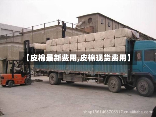 【皮棉最新费用,皮棉现货费用】-第2张图片