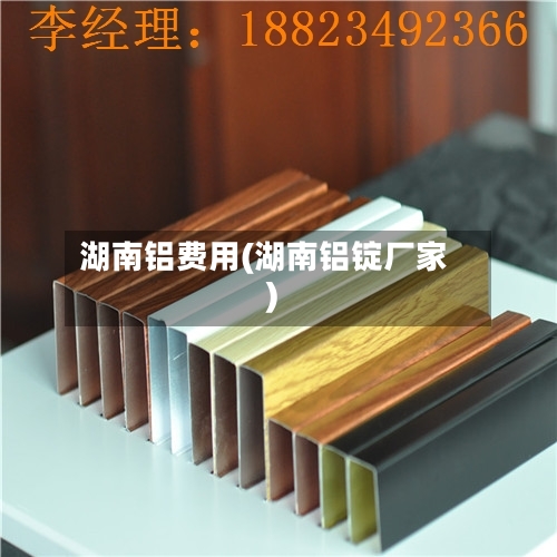 湖南铝费用(湖南铝锭厂家)