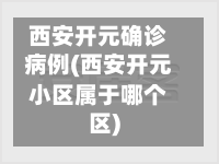 西安开元确诊病例(西安开元小区属于哪个区)-第2张图片