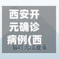 西安开元确诊病例(西安开元小区属于哪个区)-第3张图片
