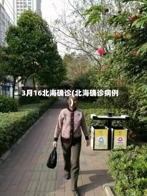 3月16北海确诊(北海确诊病例)-第2张图片