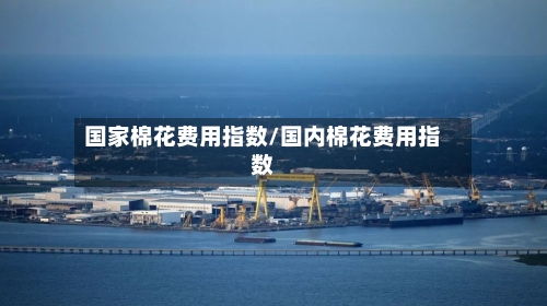 国家棉花费用指数/国内棉花费用指数