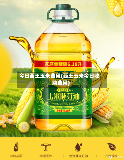 今日西王玉米费用(西王玉米今日收购费用)-第2张图片