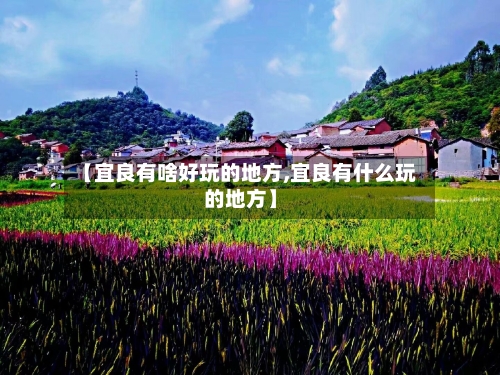 【宜良有啥好玩的地方,宜良有什么玩的地方】-第2张图片