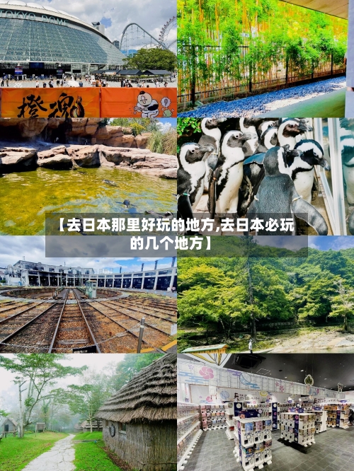【去日本那里好玩的地方,去日本必玩的几个地方】