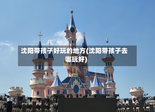 沈阳带孩子好玩的地方(沈阳带孩子去哪玩好)