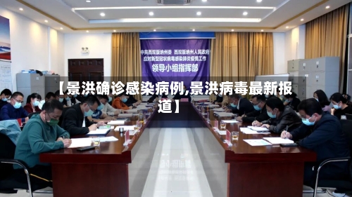 【景洪确诊感染病例,景洪病毒最新报道】