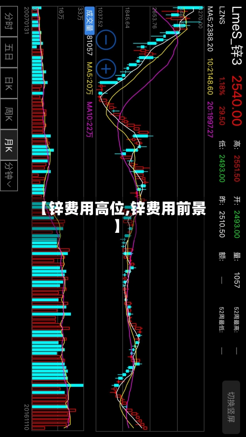 【锌费用高位,锌费用前景】