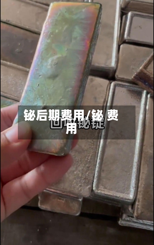 铋后期费用/铋 费用-第2张图片