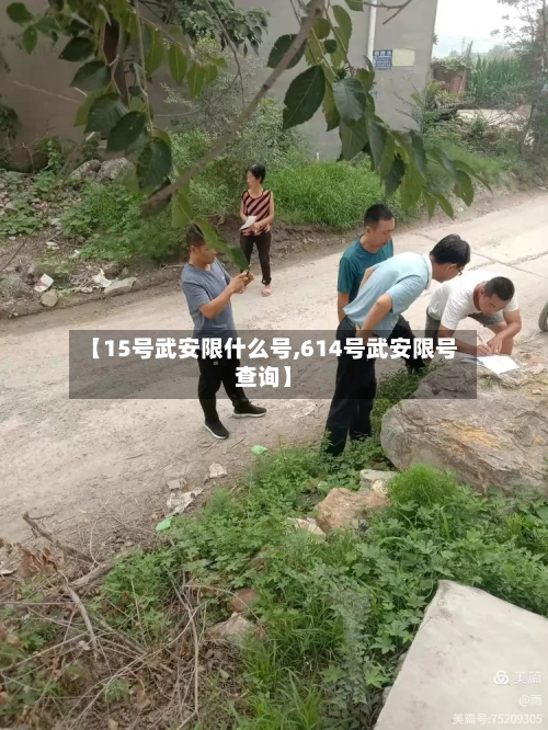 【15号武安限什么号,614号武安限号查询】-第3张图片