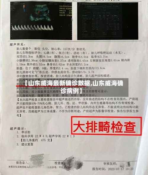 【山东威海最新确诊数据,山东威海确诊病例】
