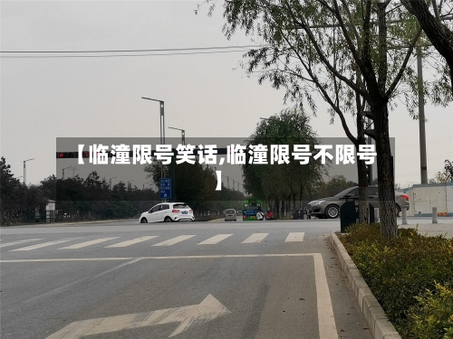 【临潼限号笑话,临潼限号不限号】