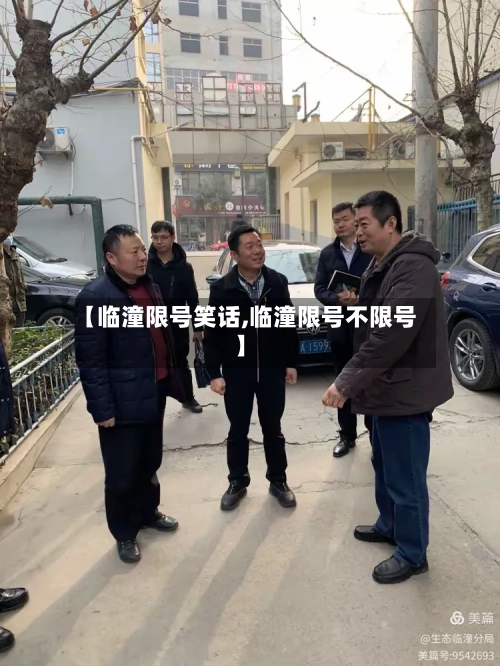 【临潼限号笑话,临潼限号不限号】-第2张图片