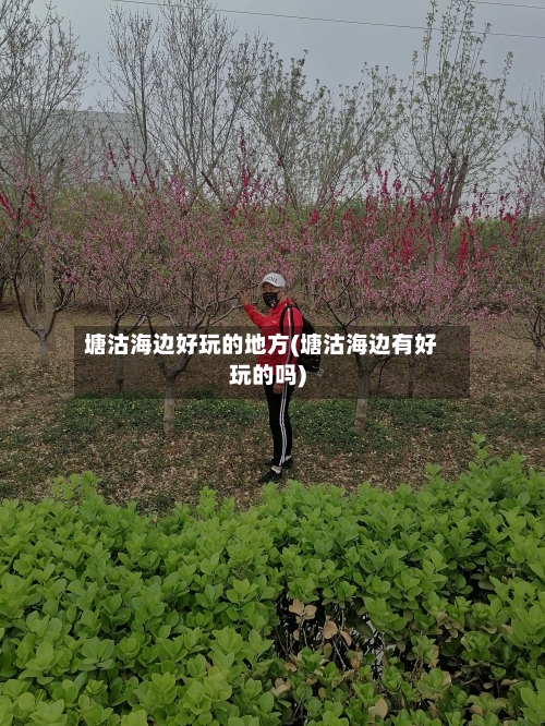 塘沽海边好玩的地方(塘沽海边有好玩的吗)-第3张图片