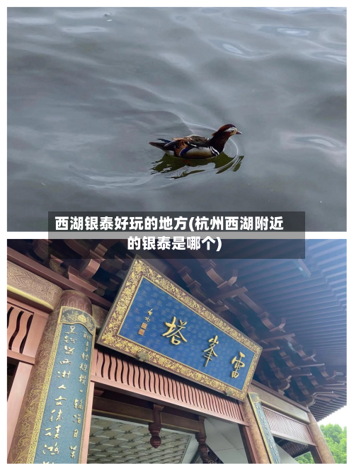 西湖银泰好玩的地方(杭州西湖附近的银泰是哪个)-第2张图片