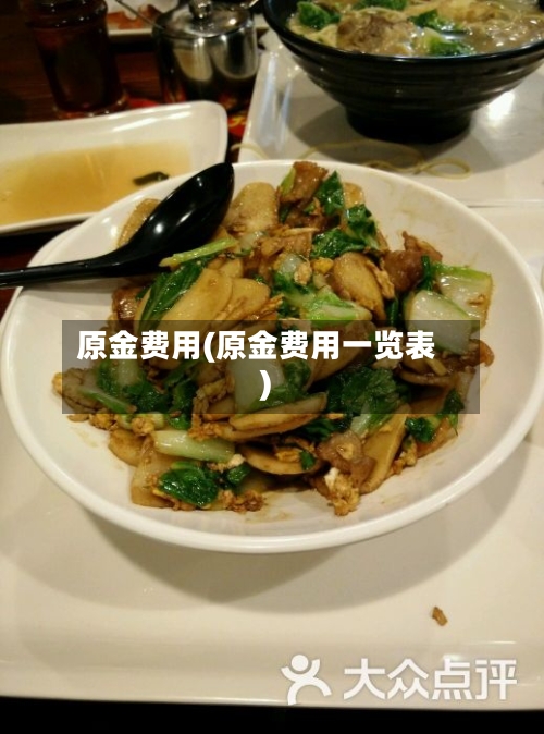 原金费用(原金费用一览表)