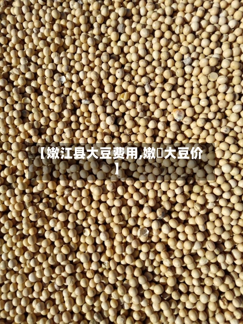 【嫩江县大豆费用,嫩冮大豆价】