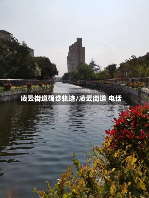凌云街道确诊轨迹/凌云街道 电话-第3张图片