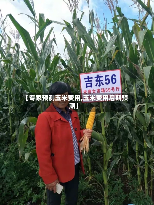【专家预测玉米费用,玉米费用后期预测】-第3张图片