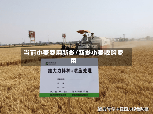 当前小麦费用新乡/新乡小麦收购费用