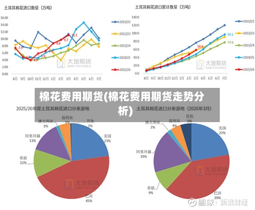 棉花费用期货(棉花费用期货走势分析)-第3张图片