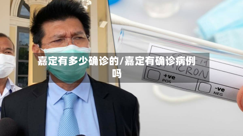 嘉定有多少确诊的/嘉定有确诊病例吗